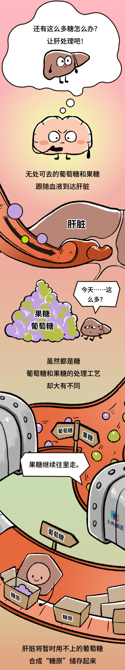 一天一杯奶茶是逼身体加班 可能给你招来2型糖尿病