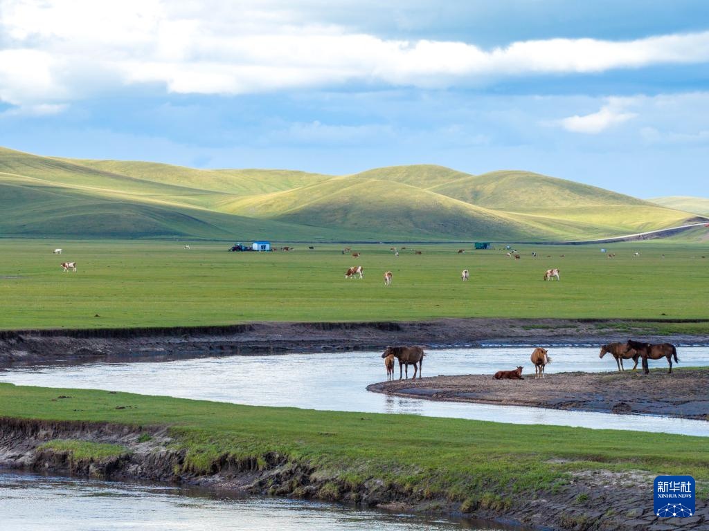 秋日呼伦贝尔大草原