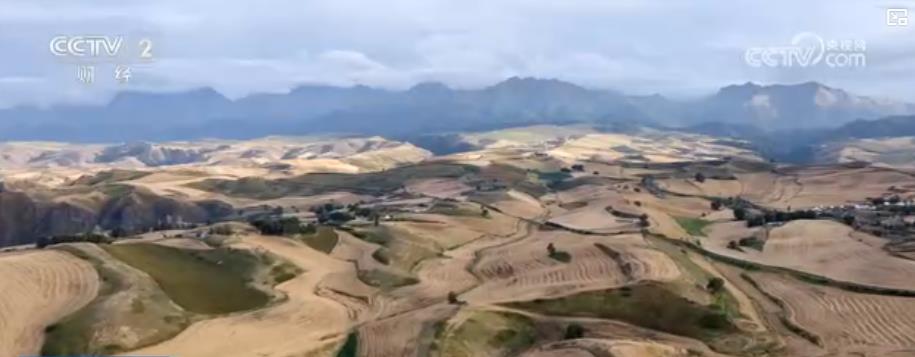 古村晒秋“调色盘”、天山麦浪“金地毯” &nbsp;中国南北独特秋日“丰景”美如画卷