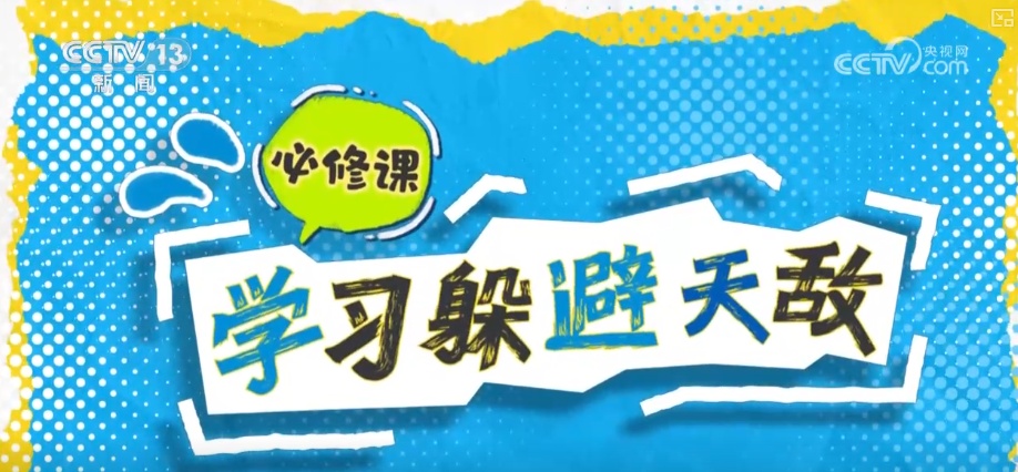 “培训”大熊猫母子、一虎带四崽、两虎打斗……惊喜现身彰显万物共生多姿多彩