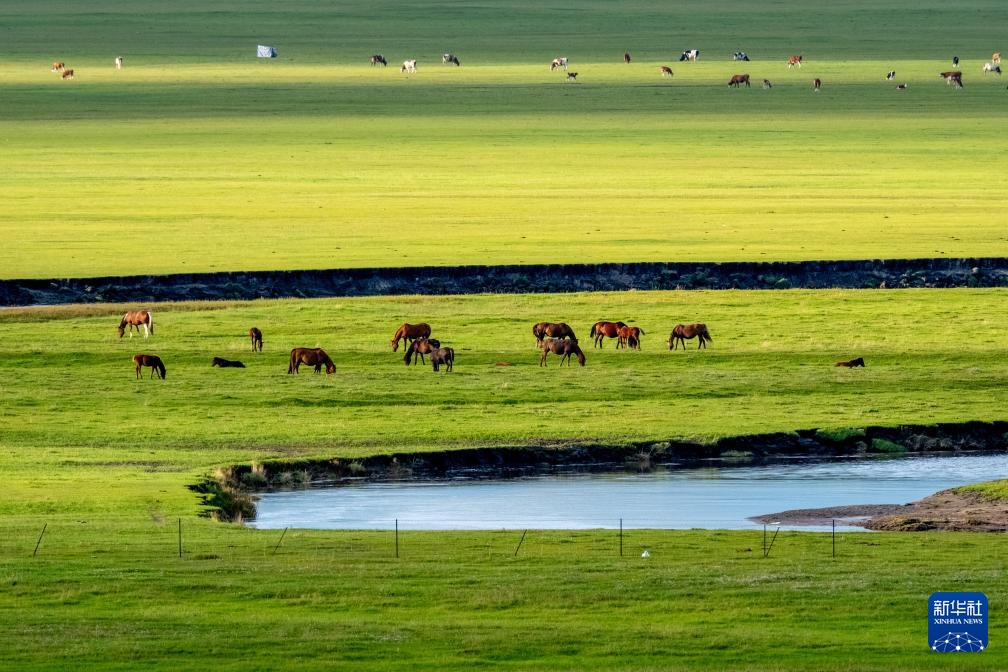 秋日呼伦贝尔大草原