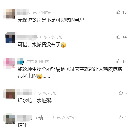 夫妻旅游一周后回家，发现客厅变“蛇窝”！来源竟是网购...