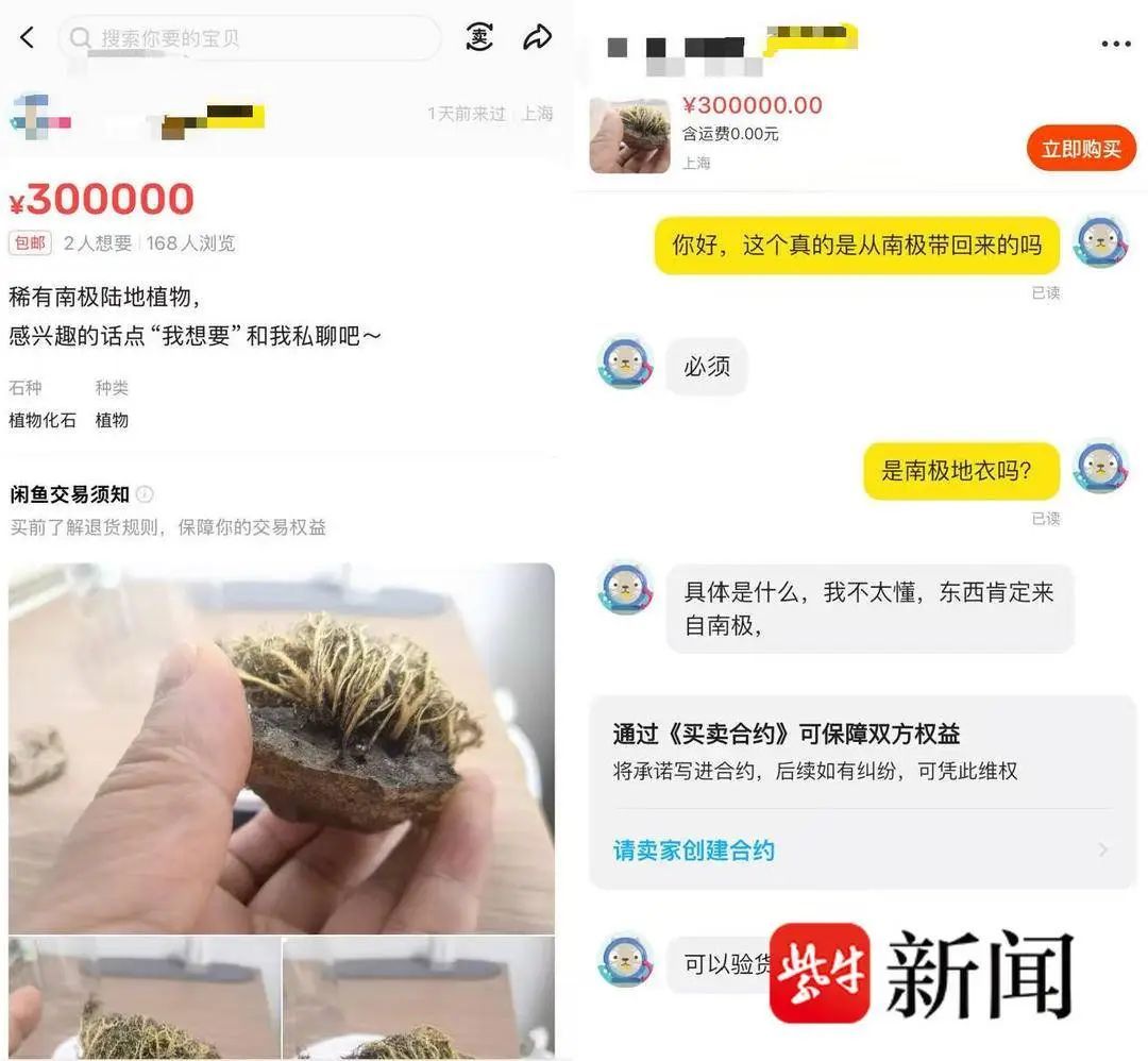 100年只能生长1毫米的“南极地衣”惊现交易平台！