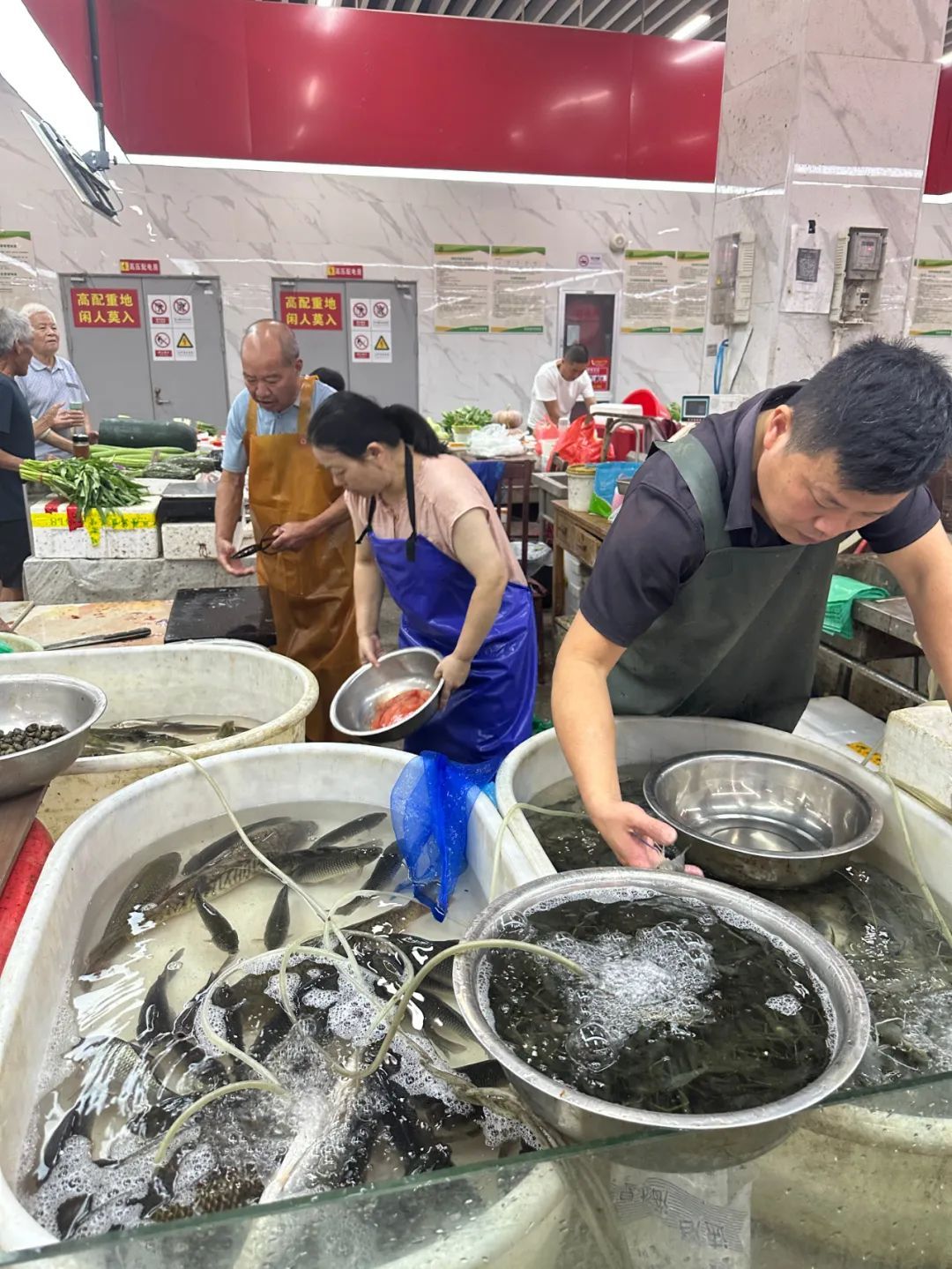 浙江有人散步拍下“怪家伙”,惊呼从没看到过!老板:确实少见,味道一般… 浙江有人散步拍下“怪家伙”,惊呼从没看到过!老板:确实少见,味道一般…