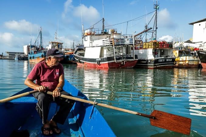 拉美观察丨美50%关税大棒落下 巴西对内纾困对外开拓市场 拉美观察丨美50%关税大棒落下 巴西对内纾困对外开拓市场