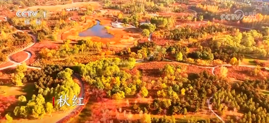 天蓝、地绿、水清共绘多彩生态画卷 生态治理擦亮城市名片 | 看见美丽中国