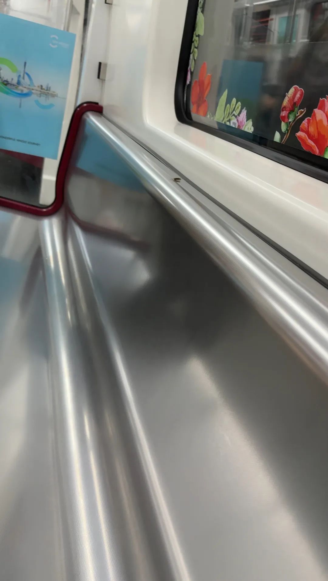 蟑螂“乘客”现身13号线,广州地铁回应 蟑螂“乘客”现身13号线,广州地铁回应