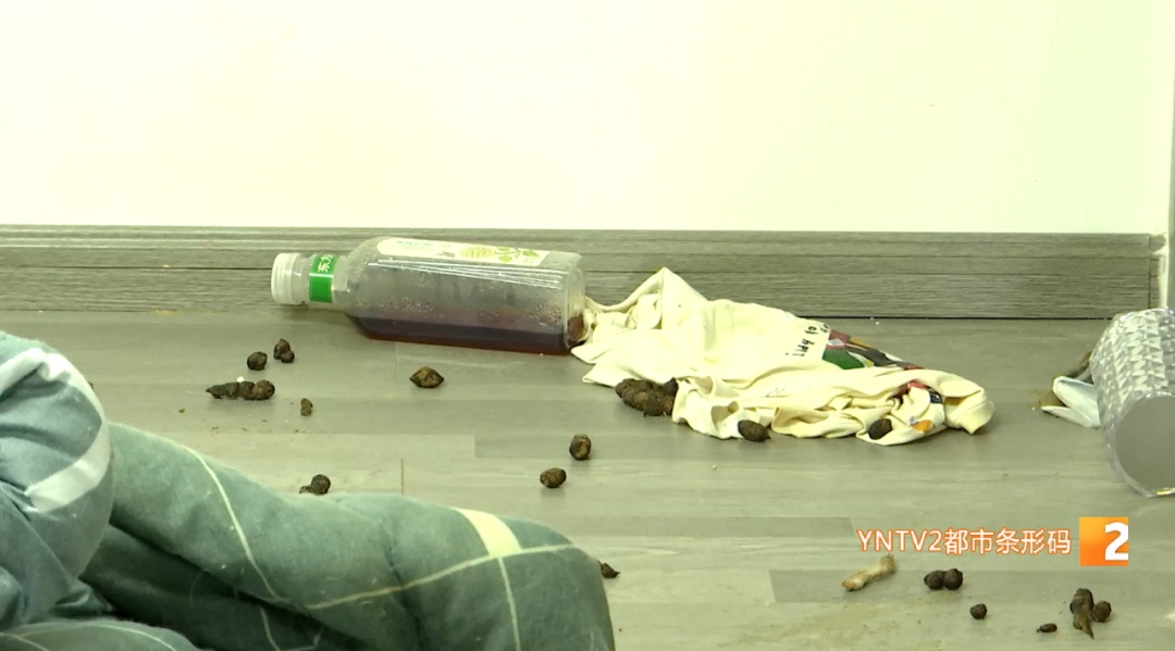 两女子退租后，昆明一房东收房时吓坏了！满屋都是……