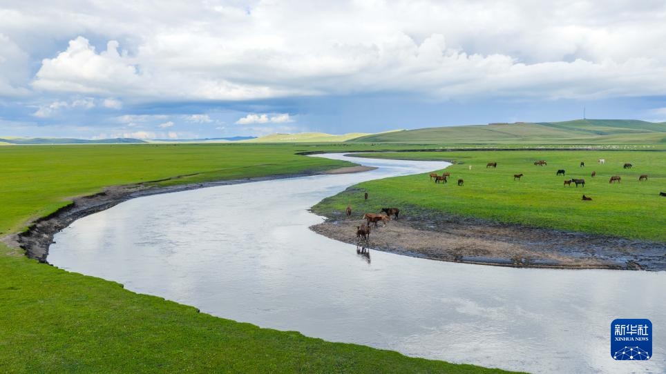 秋日呼伦贝尔大草原
