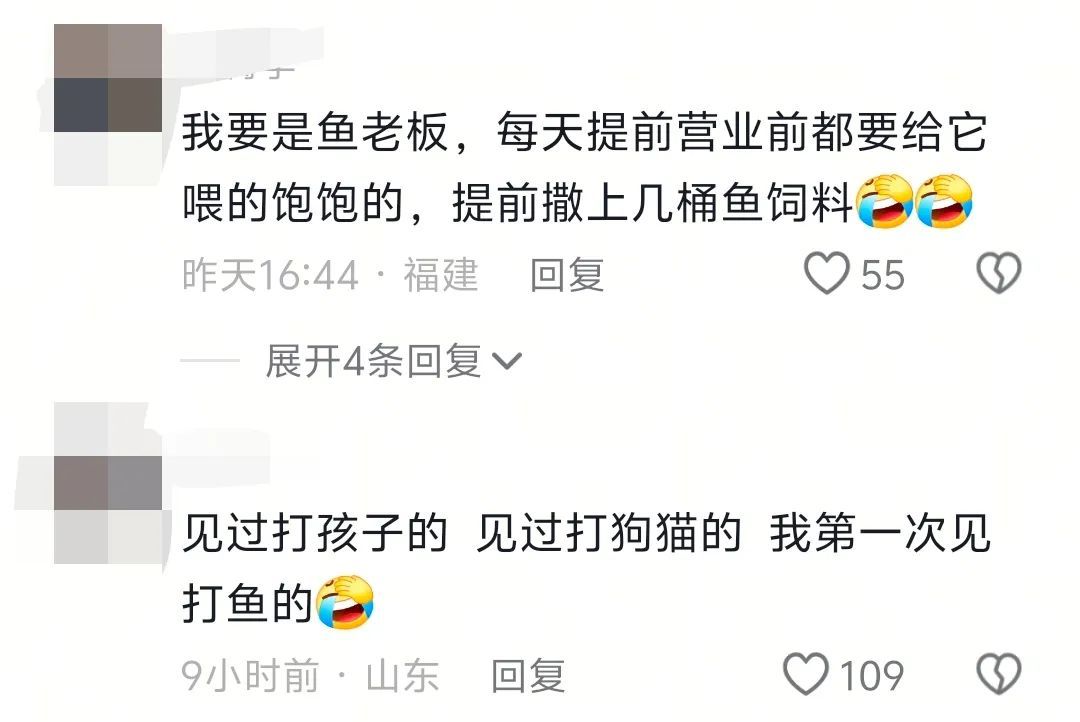 浙江一鱼塘用金鳙当彩头，谁钓到就送鱼竿！结果这鱼70天被钓32次！老板：亏了7万…