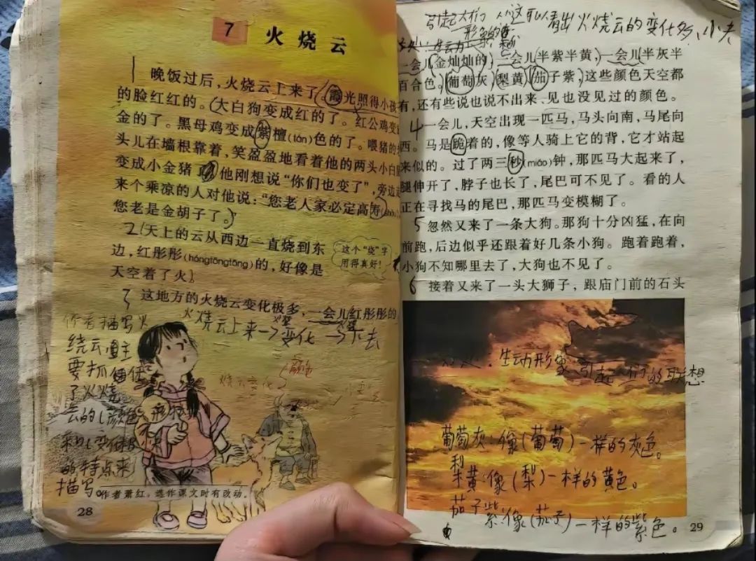 “突然被小时候看不懂的文字震撼到了……”