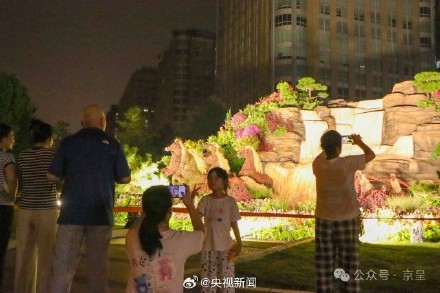 纪念抗战胜利80周年主题花坛亮灯