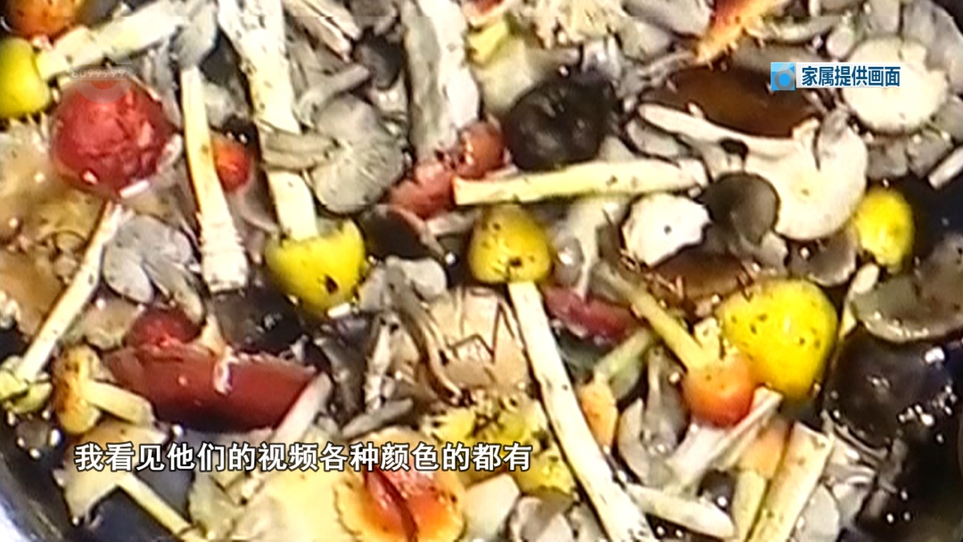 一家9口吃菌中毒,紧急转院至昆明! 一家9口吃菌中毒,紧急转院至昆明!