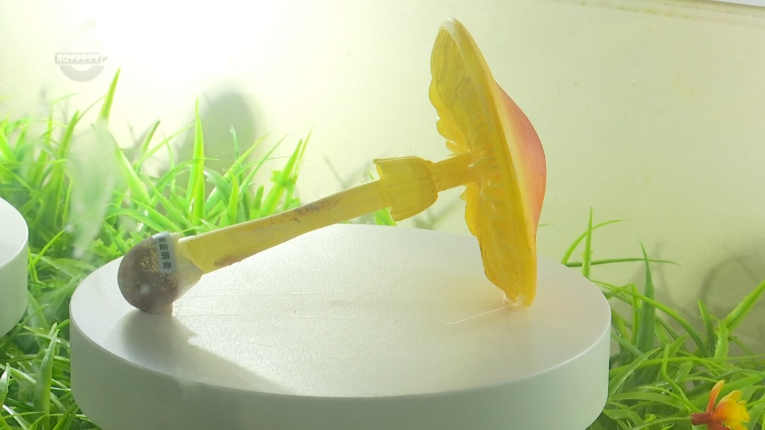 一家9口吃菌中毒,紧急转院至昆明! 一家9口吃菌中毒,紧急转院至昆明!