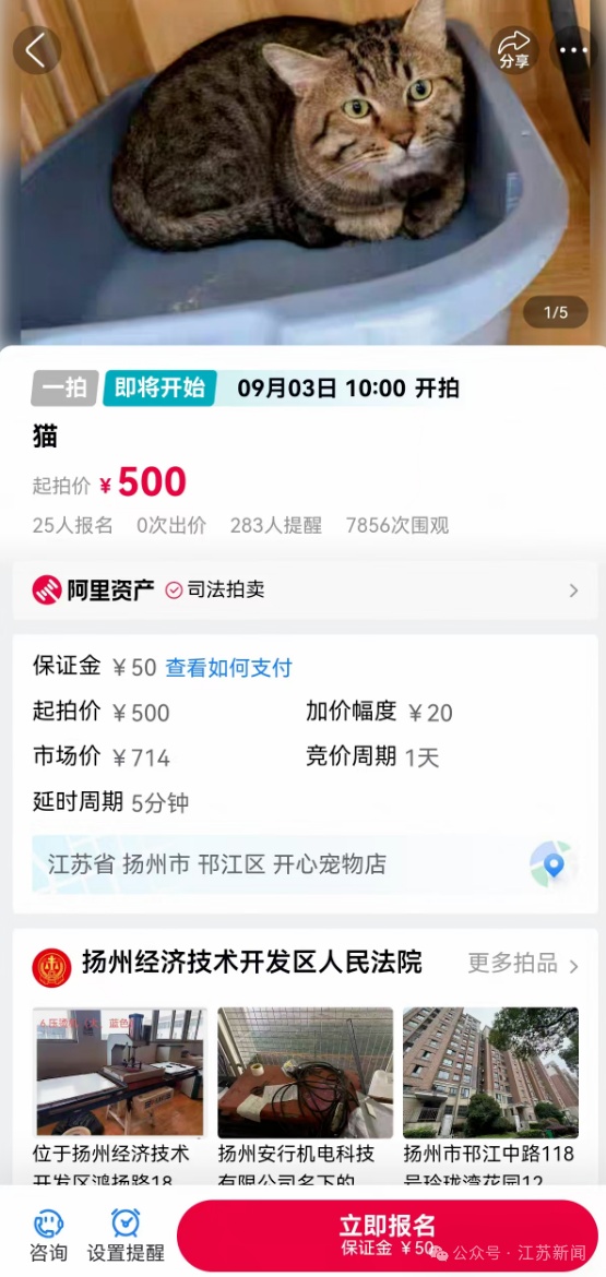2500斤活鳄鱼被拍卖!法院:需“上门自提” 2500斤活鳄鱼被拍卖!法院:需“上门自提”