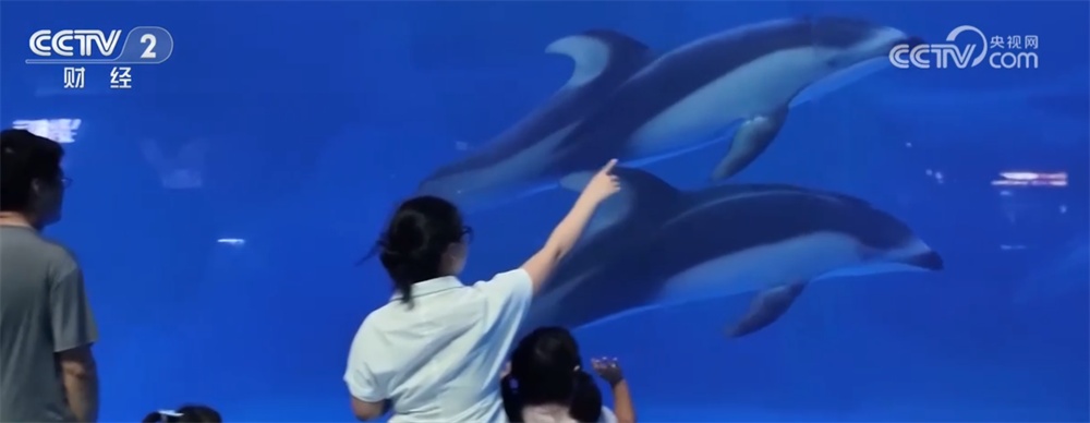 新供给激发夏日文旅消费新动能 暑期市场释放高质量发展“新”潜力 新供给激发夏日文旅消费新动能 暑期市场释放高质量发展“新”潜力