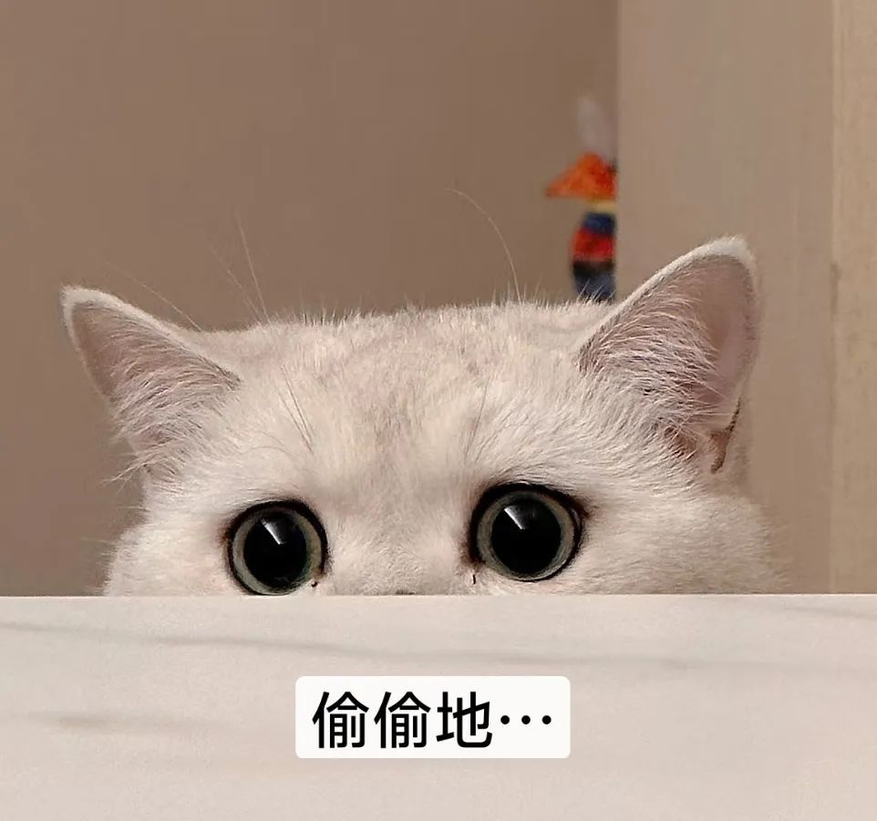 “突然被小时候看不懂的文字震撼到了……”