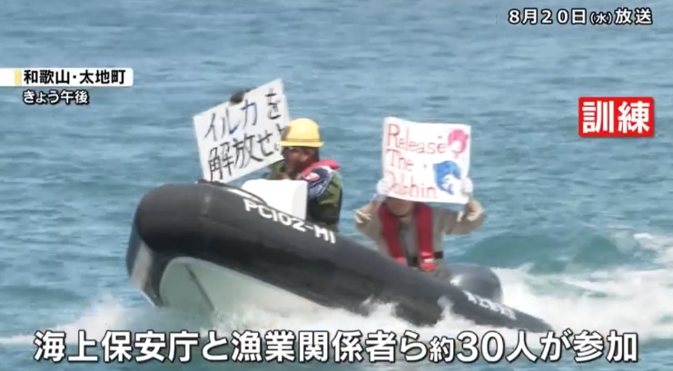 日媒：捕鲸季即将来临，日本海上保安厅针对反捕鲸团体进行拘捕演练