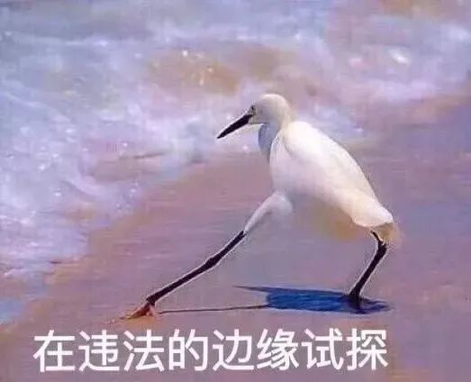 “失驾”再驾？错上加错！