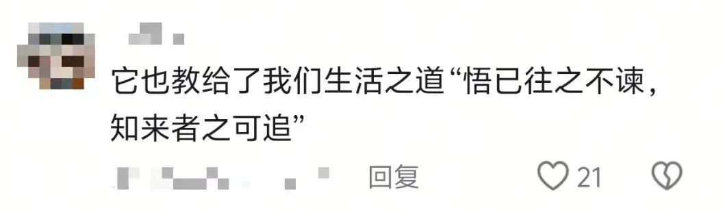 “突然被小时候看不懂的文字震撼到了……”