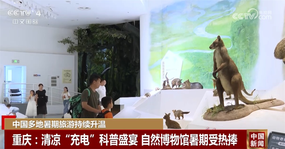 多彩“清凉旅游”持续升温释放澎湃夏日活力 暑期文旅乘“热”而上