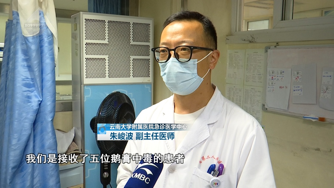 一家9口吃菌中毒,紧急转院至昆明! 一家9口吃菌中毒,紧急转院至昆明!