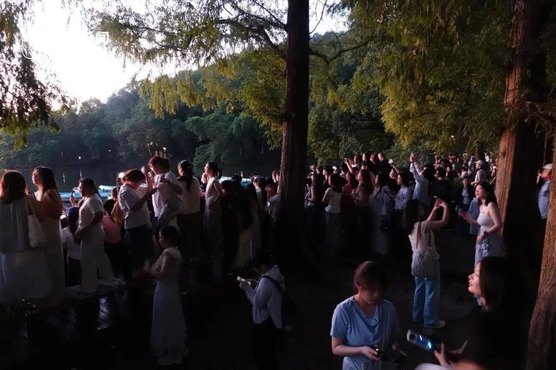 凌晨4点，西湖全是人人人！有人半夜从上海赶来：“这辈子总得看一回...”