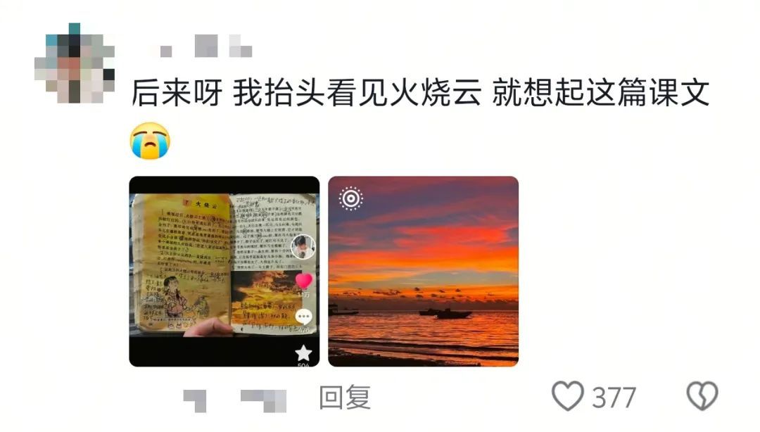 “突然被小时候看不懂的文字震撼到了……”