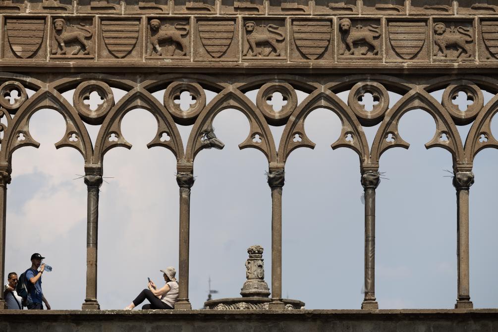 欧洲今年蚊媒疾病传播事件创纪录