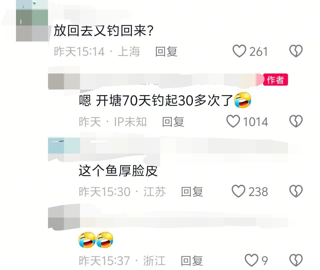 浙江一鱼塘用金鳙当彩头，谁钓到就送鱼竿！结果这鱼70天被钓32次！老板：亏了7万…