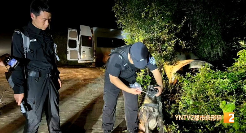 必须加鸡腿！金牌搜救犬“乐虎”又立功