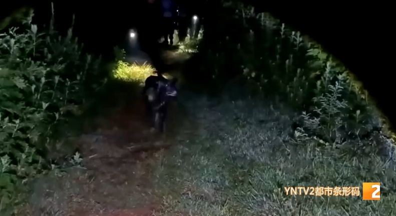 必须加鸡腿！金牌搜救犬“乐虎”又立功