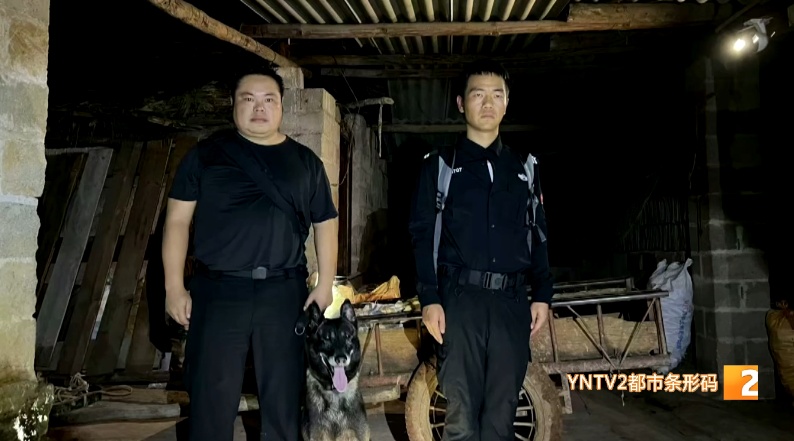 必须加鸡腿！金牌搜救犬“乐虎”又立功