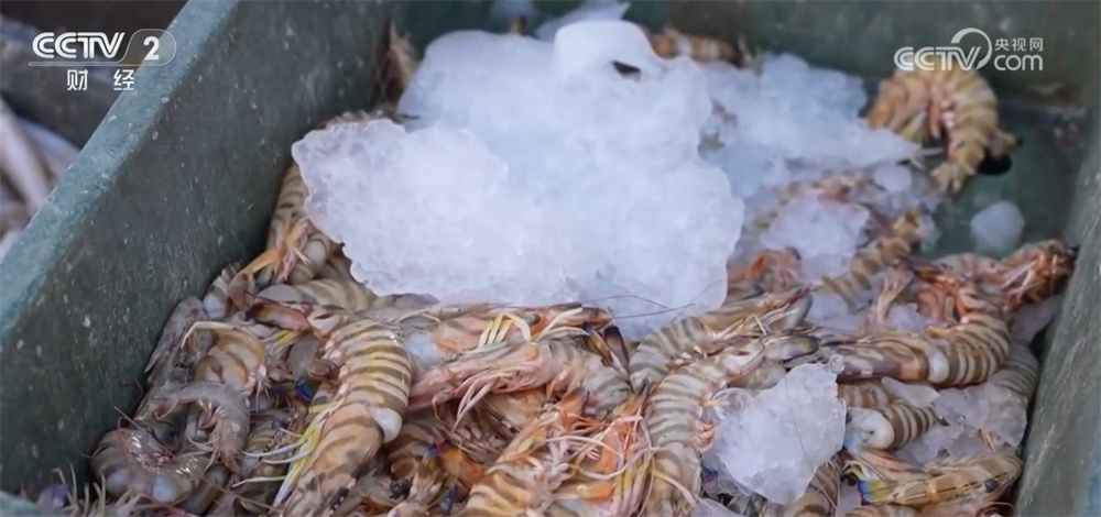 辣椒、海鲜、葡萄丰富百姓“菜篮子+果盘子” 产业振兴链接“大市场”