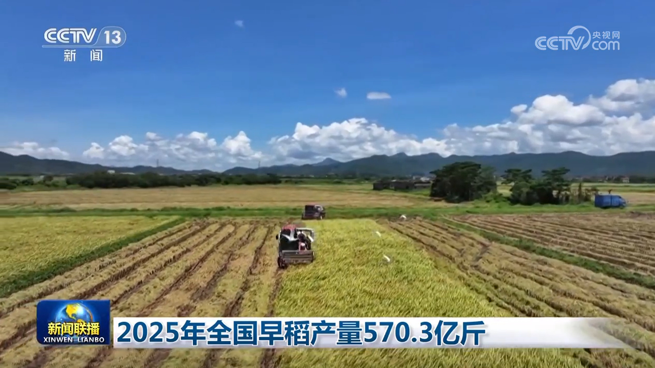 2025年全国早稻产量570.3亿斤