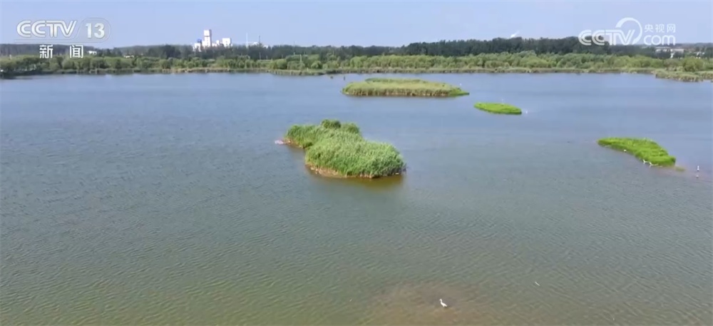 从“伤疤”到“财富”、从“砍”到“看” 绿水青山让百姓吃上“旅游饭” 从“伤疤”到“财富”、从“砍”到“看” 绿水青山让百姓吃上“旅游饭”