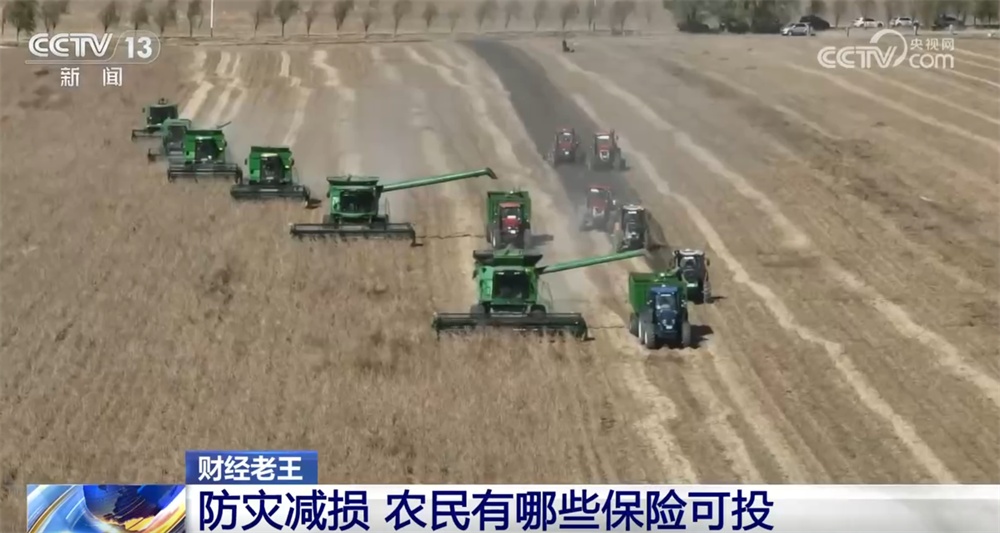 农业保险作为经济“减震器”效果显著 为灾后恢复生产添“底气” 农业保险作为经济“减震器”效果显著 为灾后恢复生产添“底气”