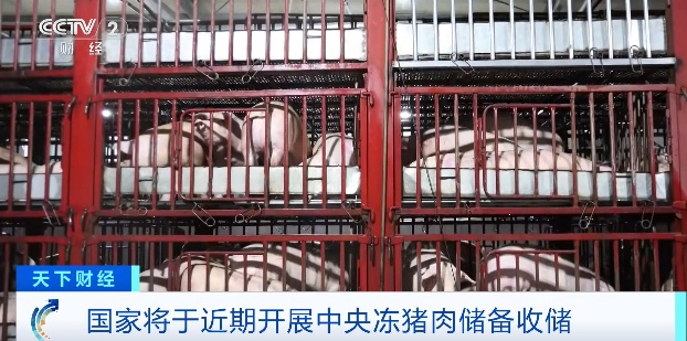 猪肉价格，大降！国家出手→