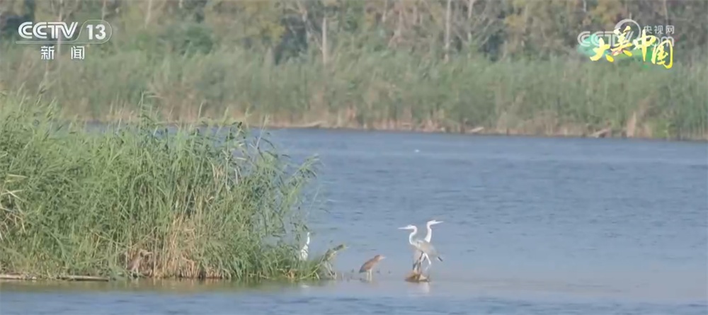 从“伤疤”到“财富”、从“砍”到“看” 绿水青山让百姓吃上“旅游饭” 从“伤疤”到“财富”、从“砍”到“看” 绿水青山让百姓吃上“旅游饭”