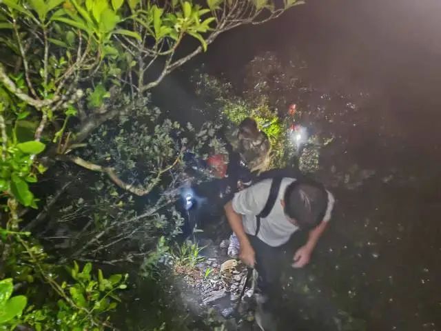 这张5000元的罚单，网友建议：全国推广！