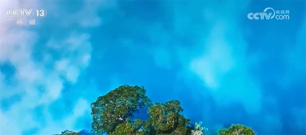 从“伤疤”到“财富”、从“砍”到“看” 绿水青山让百姓吃上“旅游饭” 从“伤疤”到“财富”、从“砍”到“看” 绿水青山让百姓吃上“旅游饭”