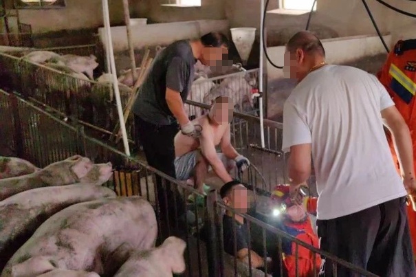 男子掉入化粪池中毒昏迷,消防员不顾恶臭将其拉出! 男子掉入化粪池中毒昏迷,消防员不顾恶臭将其拉出!