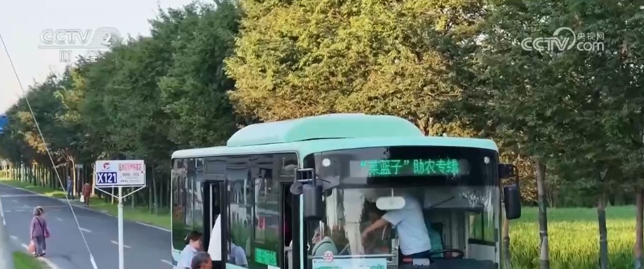 从“菜园子”到“菜市场” “扁担公交”护航高温下的“菜篮子”