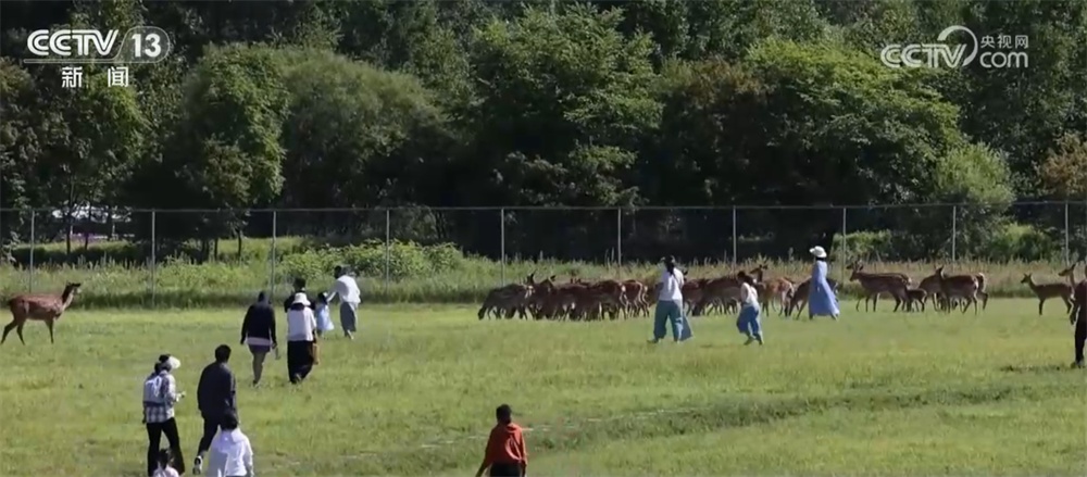 从“伤疤”到“财富”、从“砍”到“看” 绿水青山让百姓吃上“旅游饭” 从“伤疤”到“财富”、从“砍”到“看” 绿水青山让百姓吃上“旅游饭”