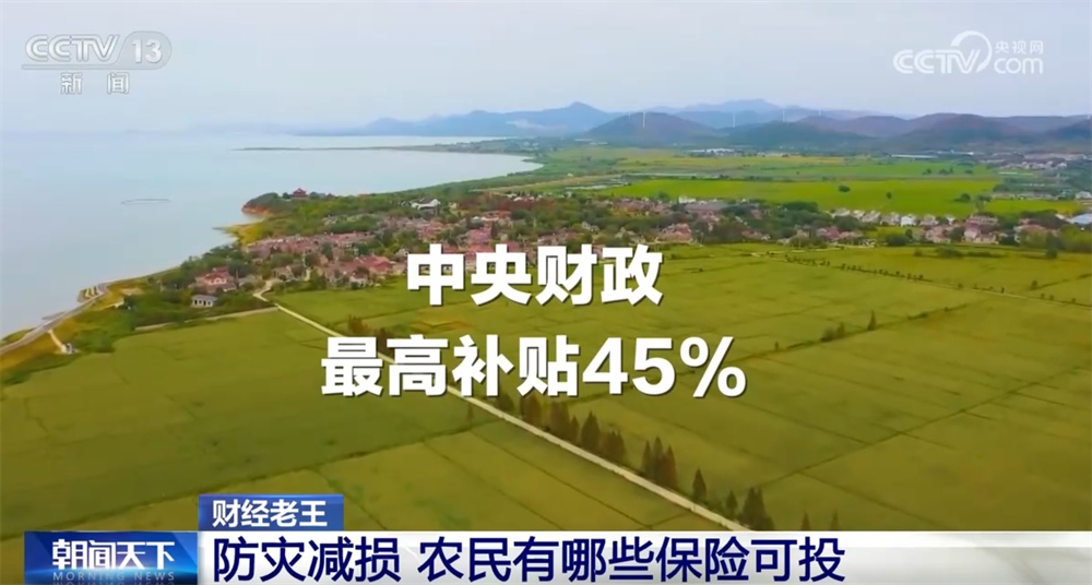 农业保险作为经济“减震器”效果显著 为灾后恢复生产添“底气” 农业保险作为经济“减震器”效果显著 为灾后恢复生产添“底气”