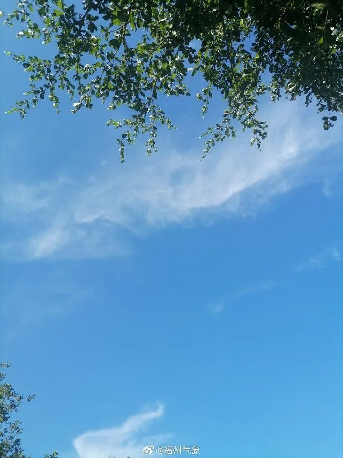 台风“剑鱼”即将生成！福建局部大雨暴雨