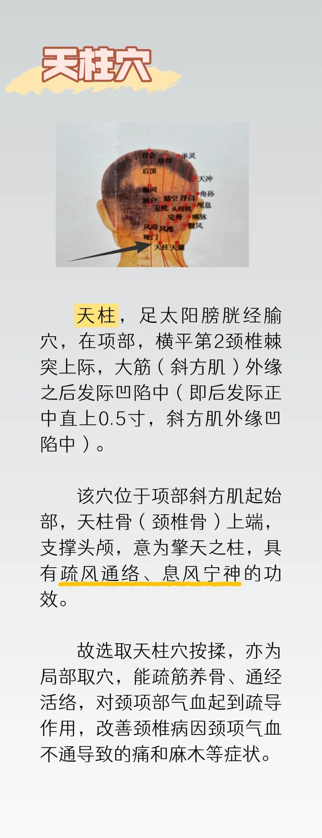 别等颈椎疼才重视！3个易找穴位常按揉，让颈椎少遭罪