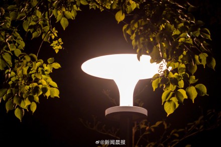 上海市中心也能看繁星了,徐家汇公园打造星空公园 上海市中心也能看繁星了,徐家汇公园打造星空公园