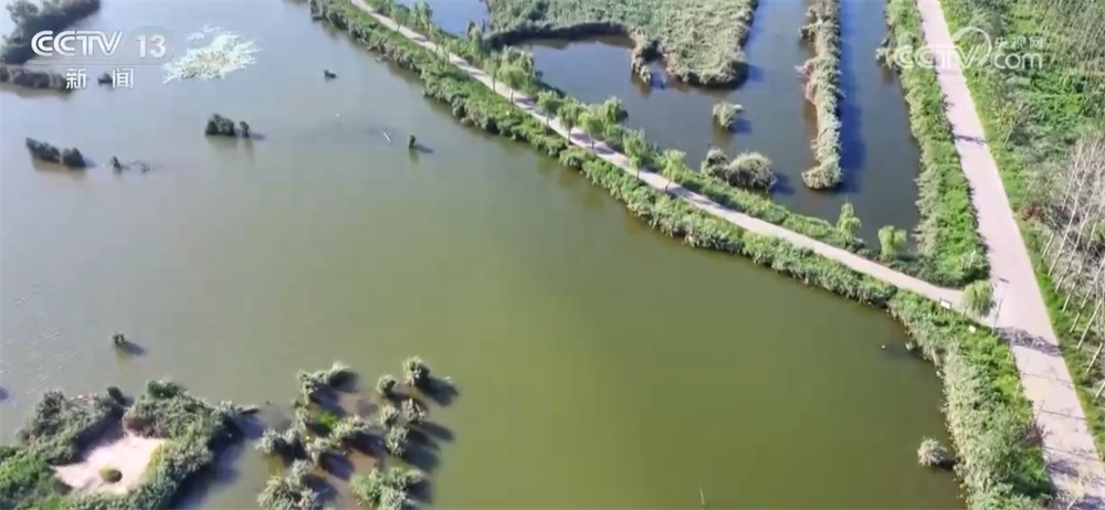 从“伤疤”到“财富”、从“砍”到“看” 绿水青山让百姓吃上“旅游饭” 从“伤疤”到“财富”、从“砍”到“看” 绿水青山让百姓吃上“旅游饭”