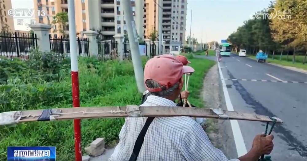 应急体系、“扁担公交”专线、“输液式”滴灌 来看应对高温“烤”验生动实践